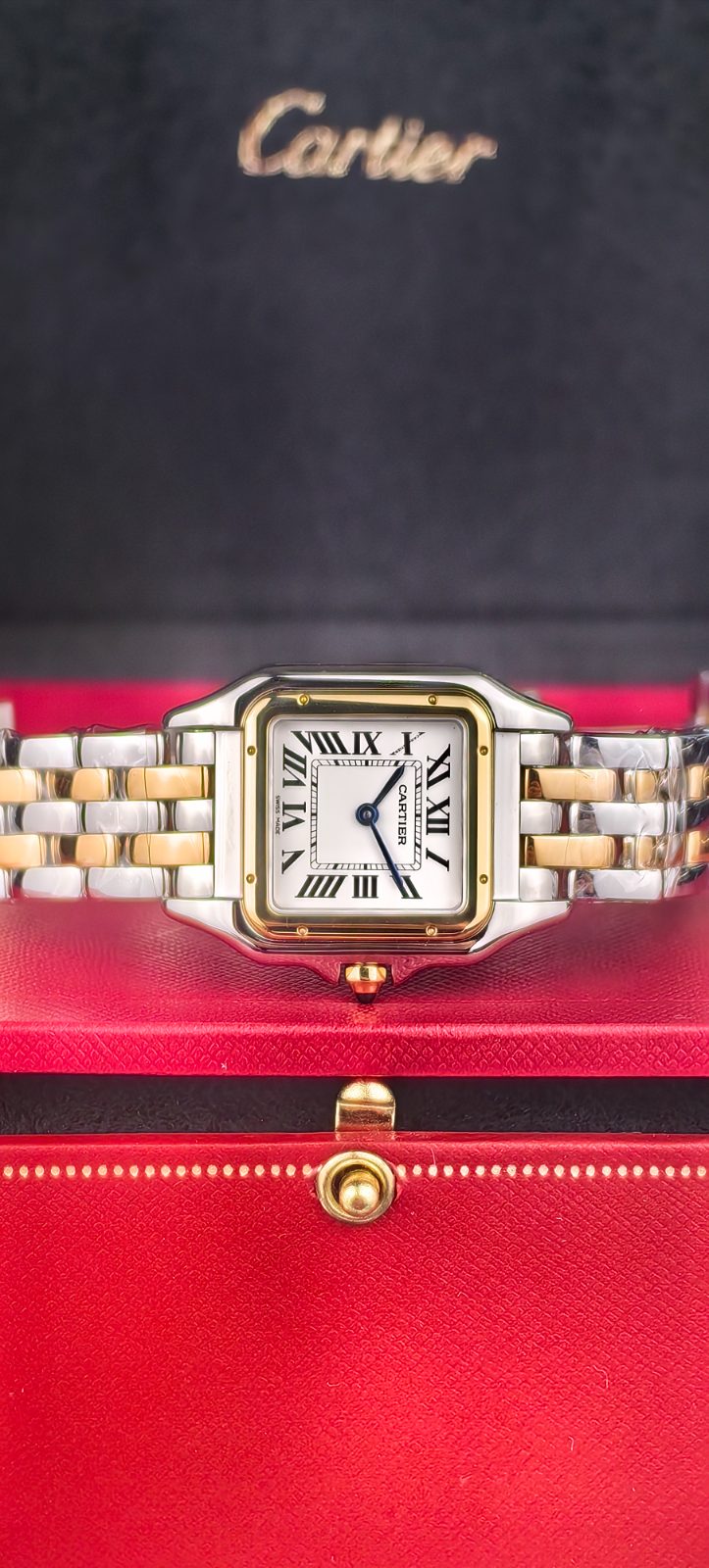 Cartier Panthere 