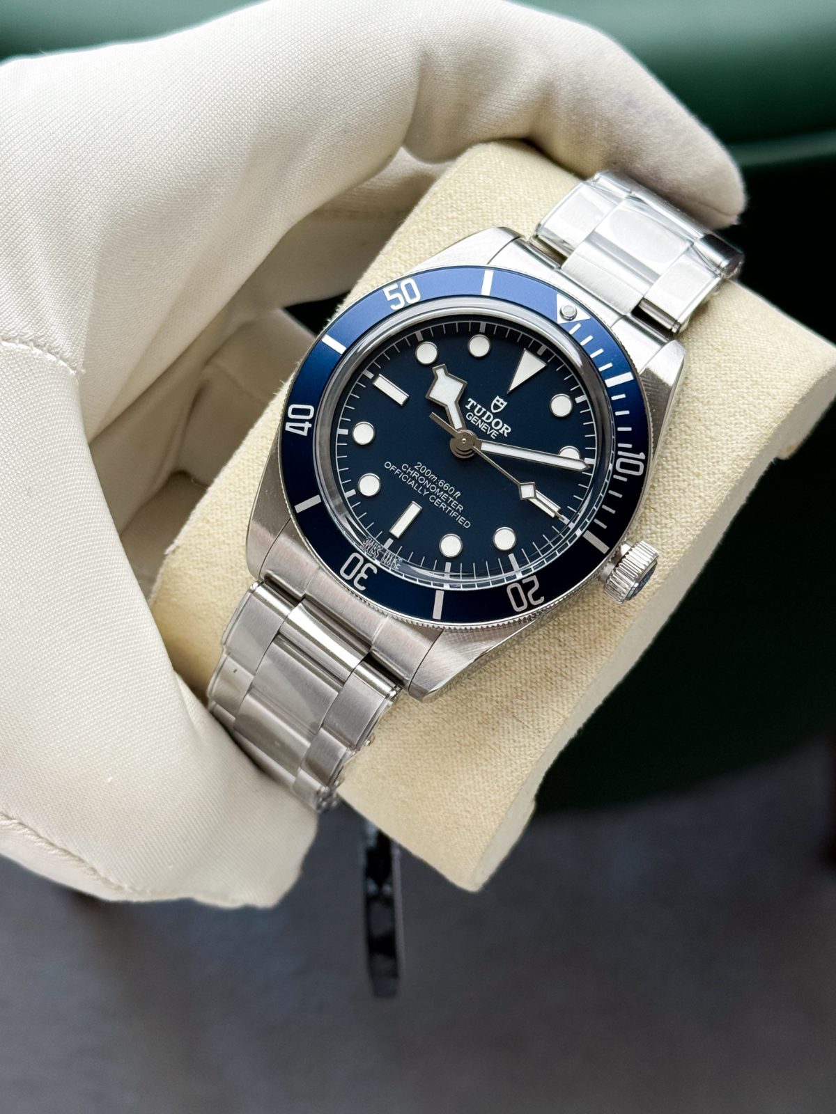 Tudor Black Bay