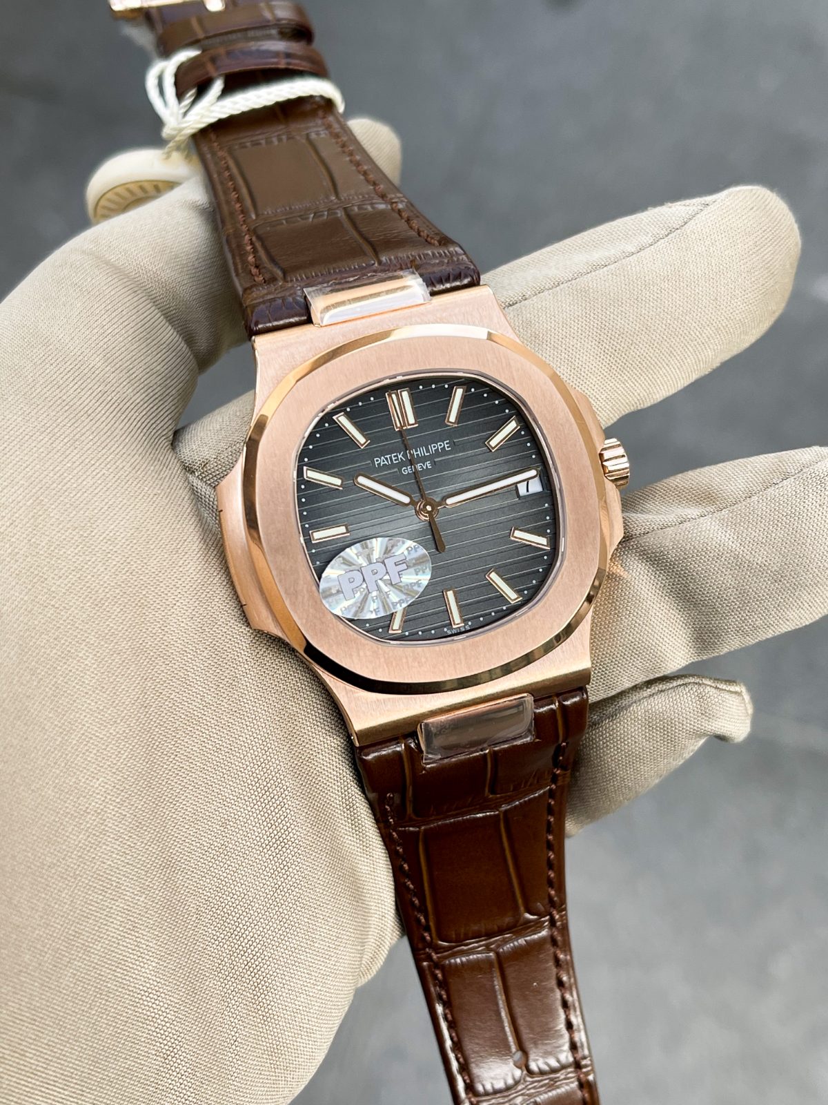 Patek Philippe Natulius
