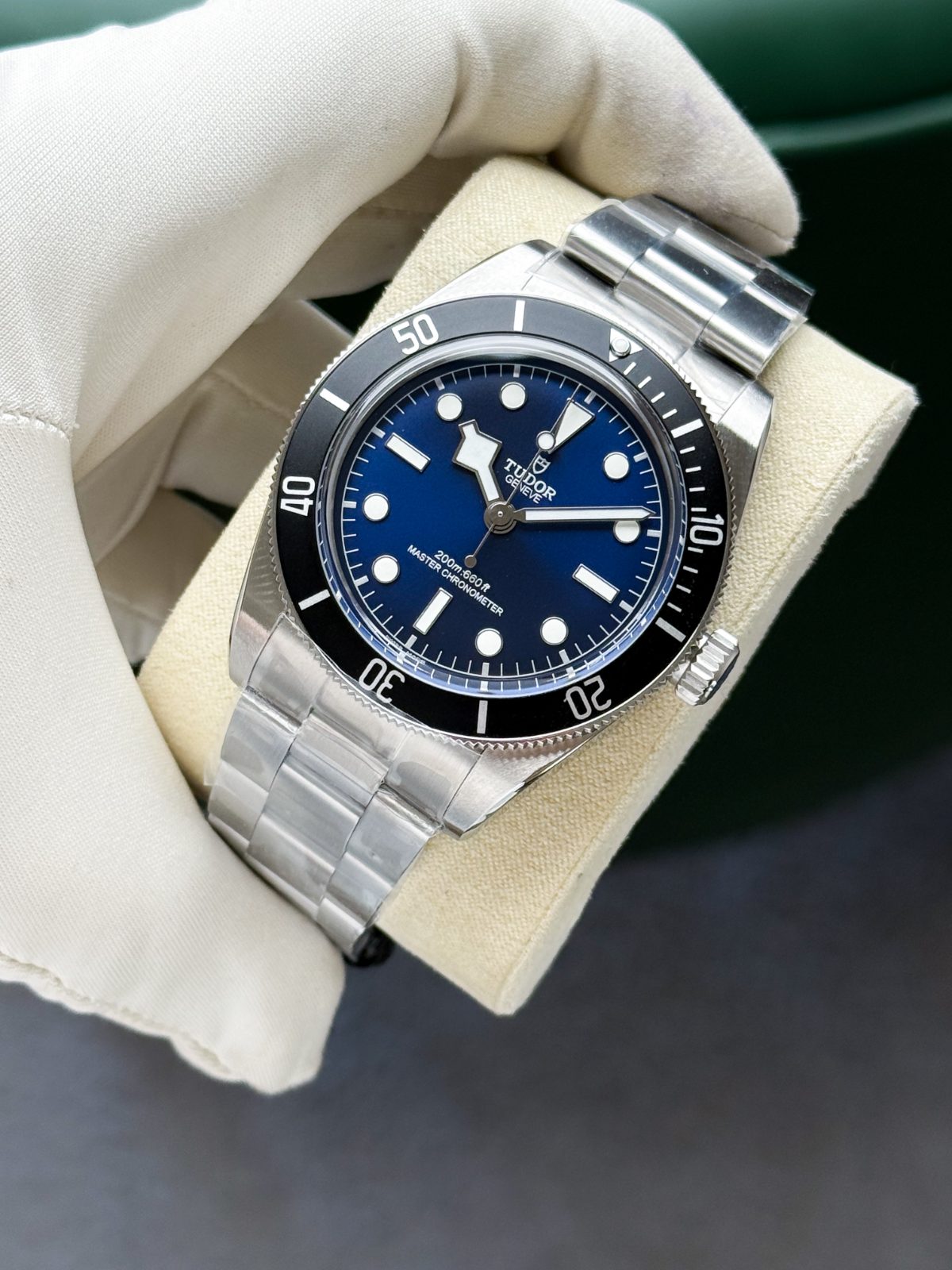 Tudor Black Bay